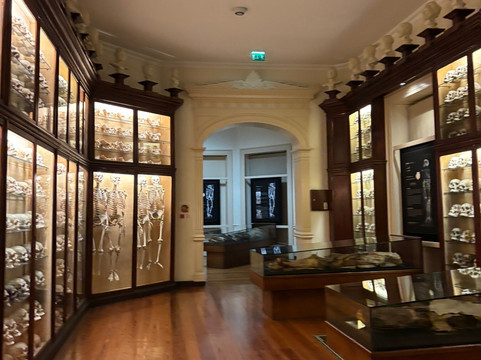 El Museo Canario-大加那利岛拉斯帕尔马斯必去景点