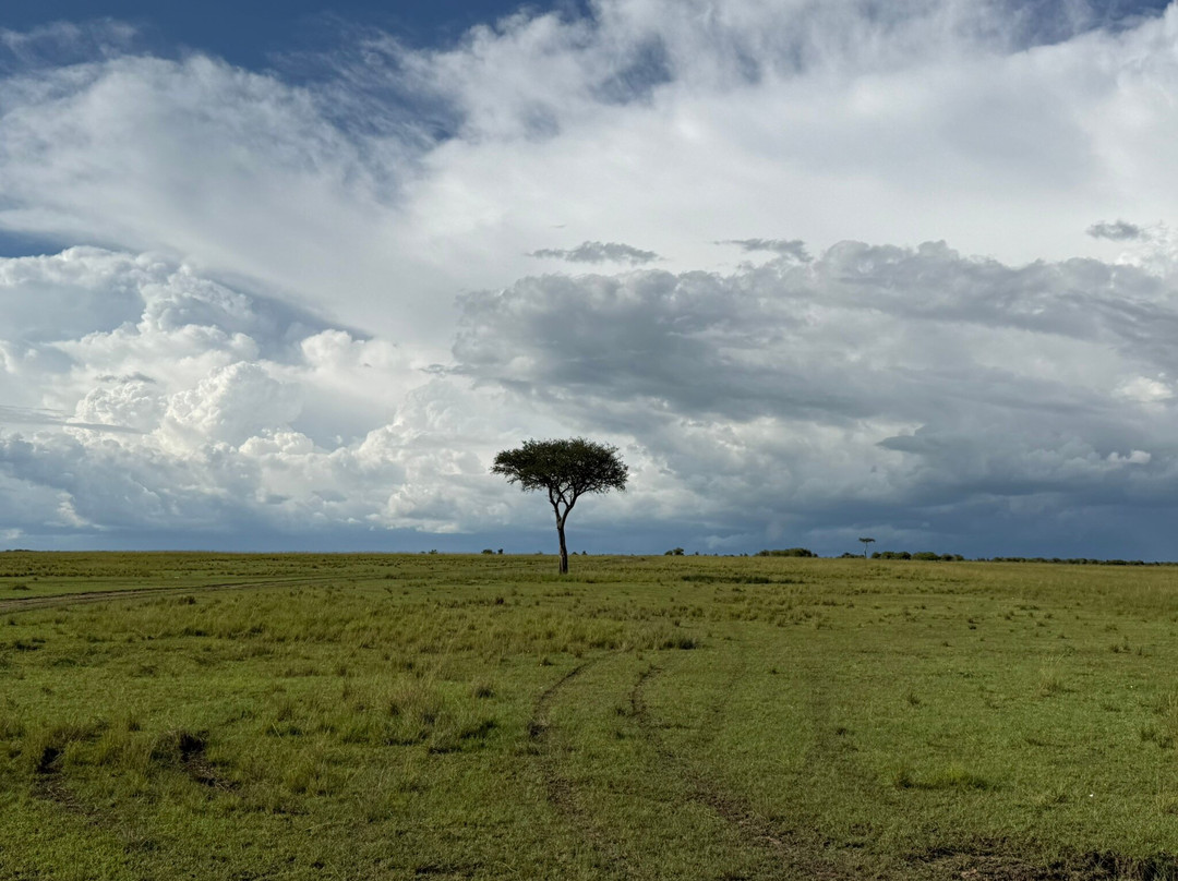 JT Safaris-迪亚尼必去景点