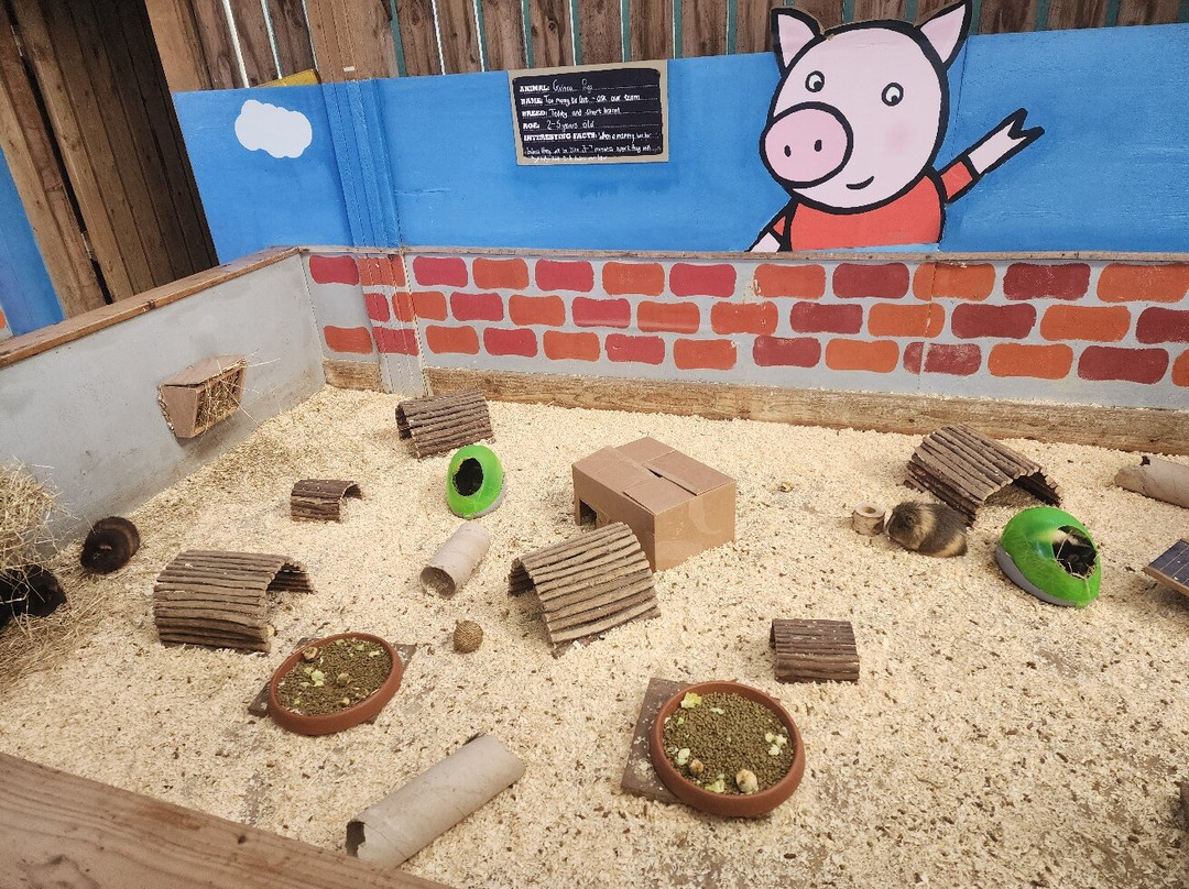 Piglets Adventure Farm-约克必去景点