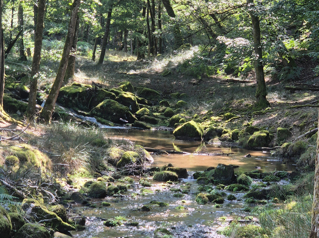 La Vallee des Daims-Junhac必去景点