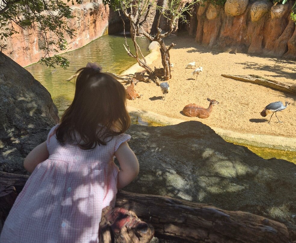 Bioparc Fuengirola-福恩吉罗拉必去景点