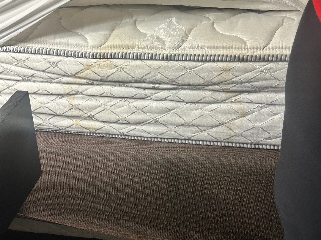 智选假日套房酒店纳奇兹南西主图