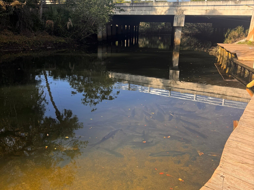 Estero River Outfitters-埃斯特罗必去景点