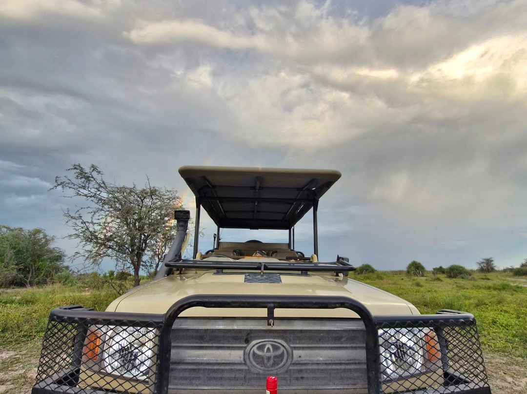 Rhino Africa Safaris-开普敦中心区必去景点