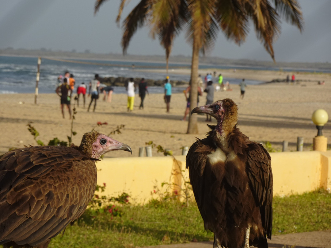 Sunbeach Hotel and Resort主图