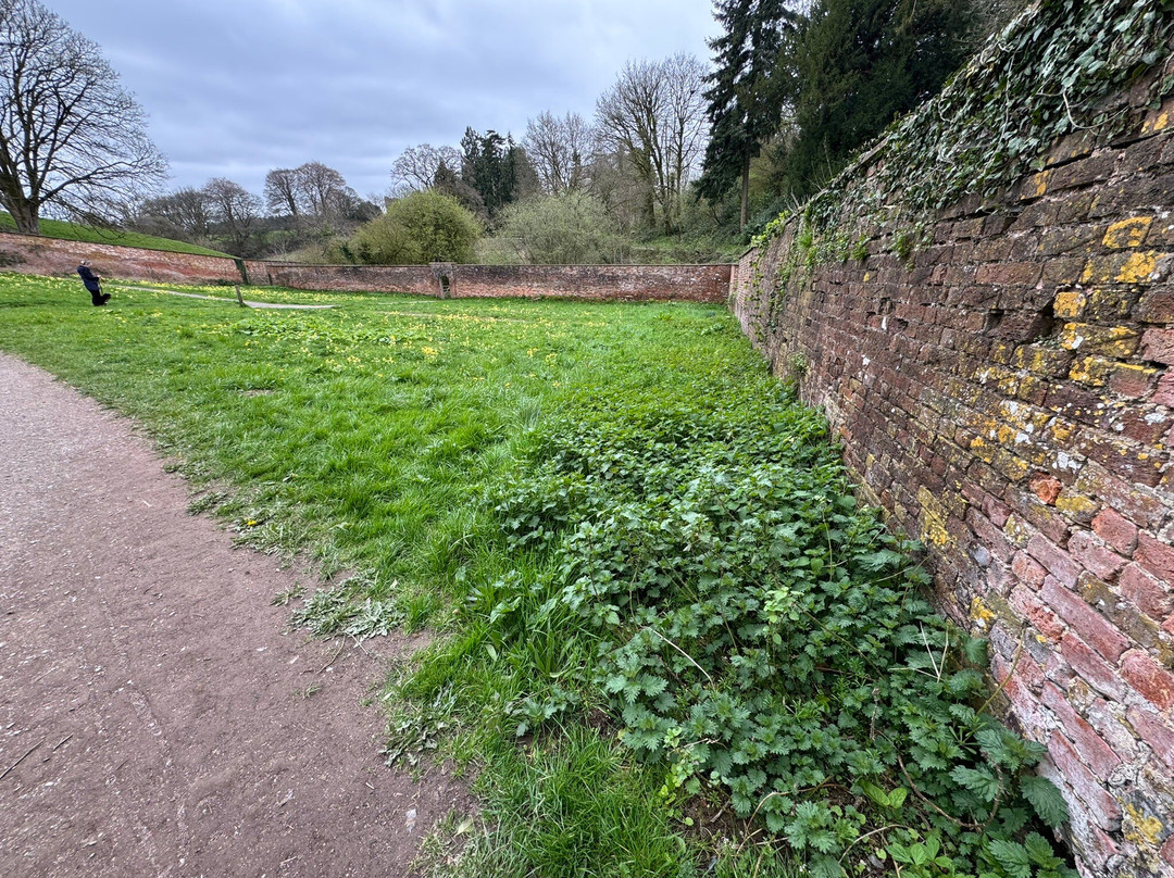 Fyne Court-布里奇沃特必去景点