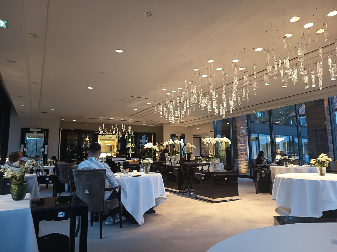 Villa Rene Lalique主图