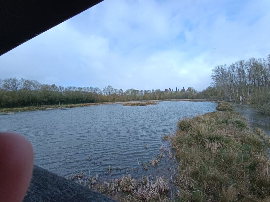 Parque Salburua-维多利亚必去景点