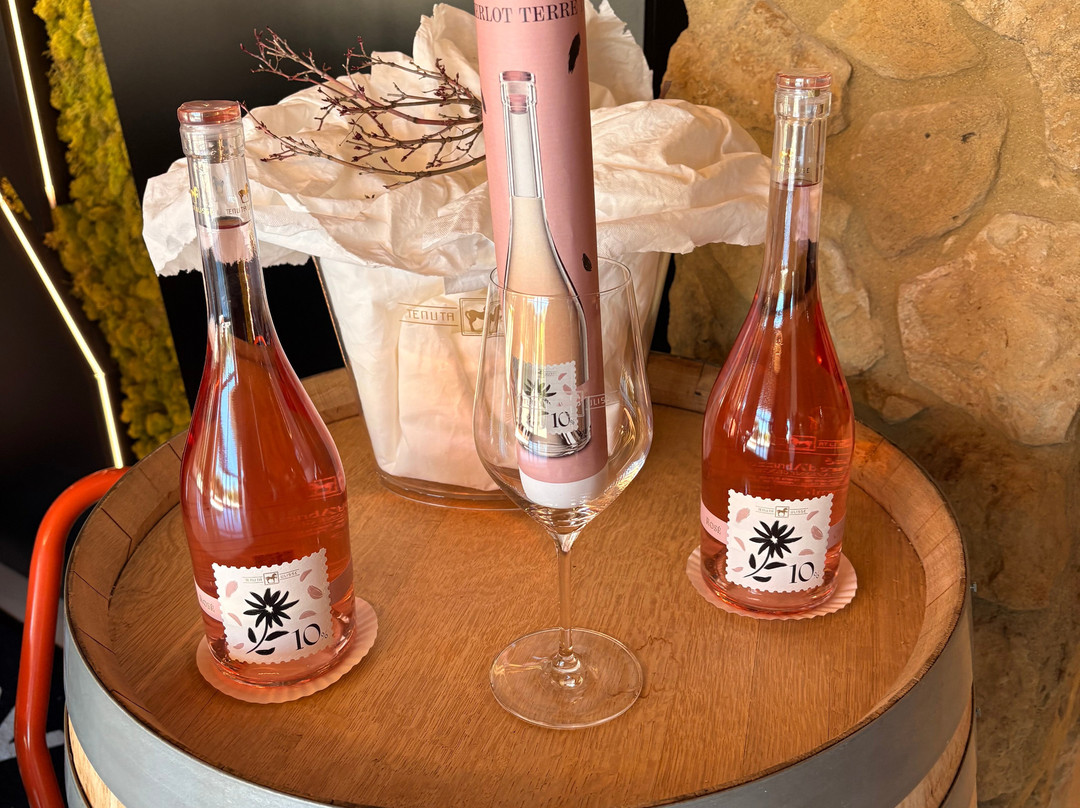 Tenuta Ulisse-Crecchio必去景点