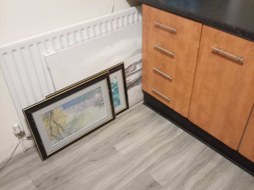 The Black Bull主图