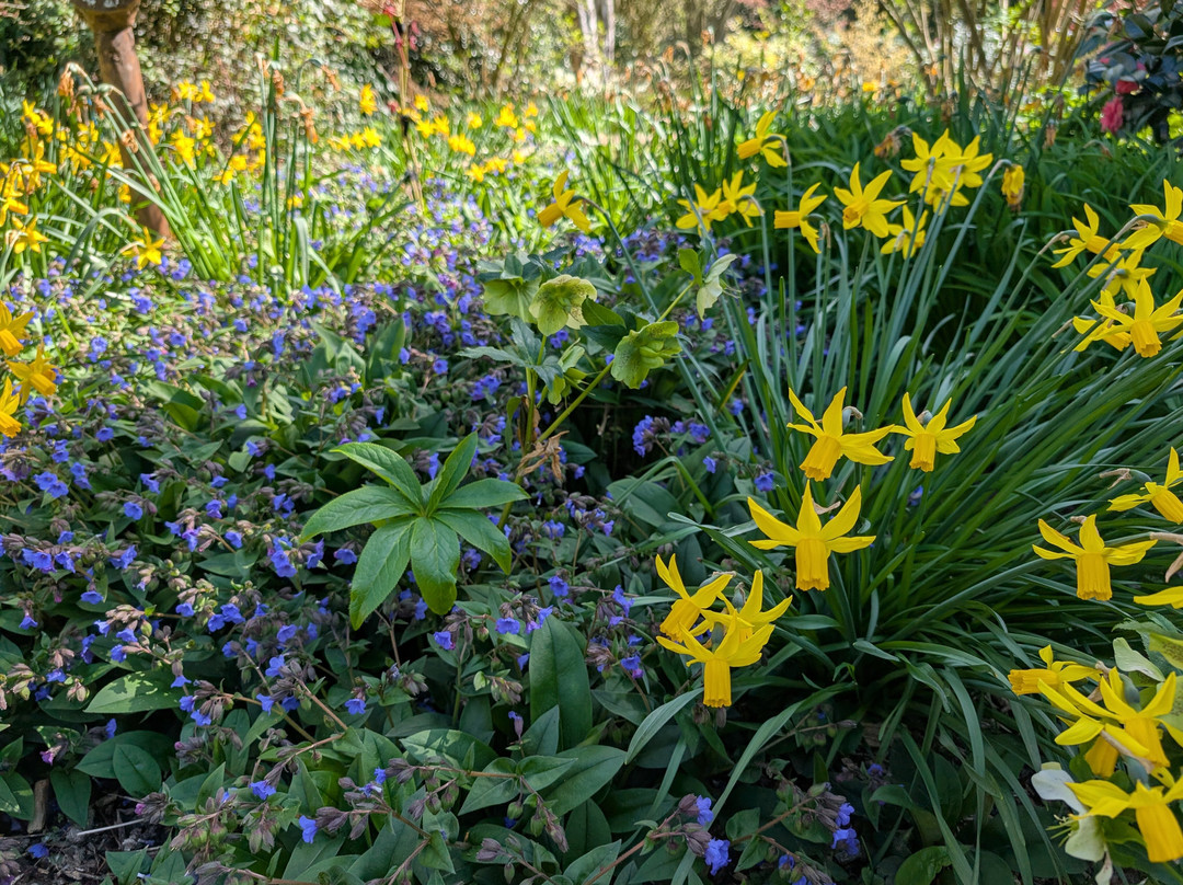 Green Island Gardens-Ardleigh必去景点