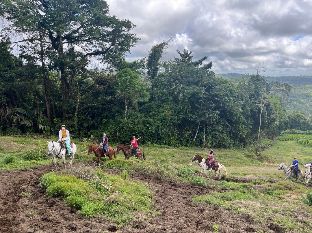 Cabalgata Don Tobias-福德圣卡洛斯必去景点