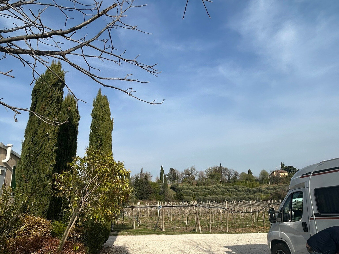 Agriturismo & Agricamping Serena主图