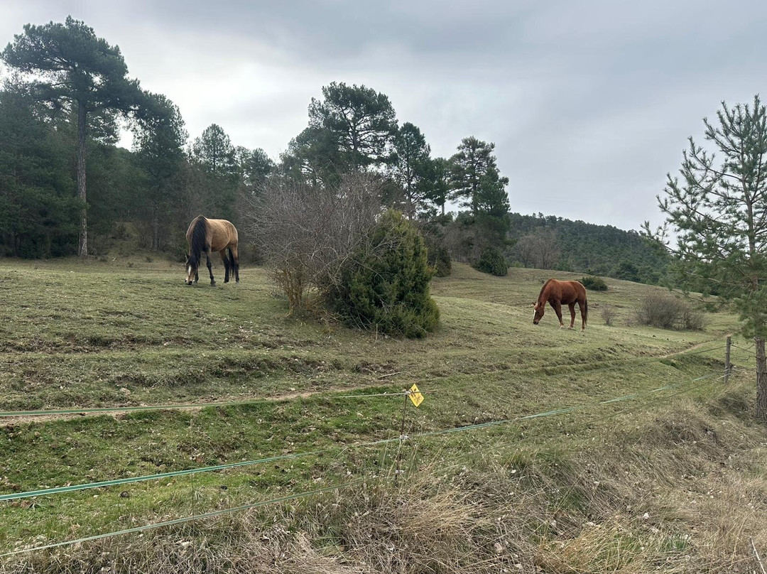 Caballos Albarracin-Moscardon必去景点