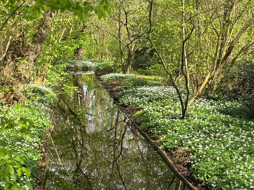 De Braak-阿姆斯特尔芬必去景点