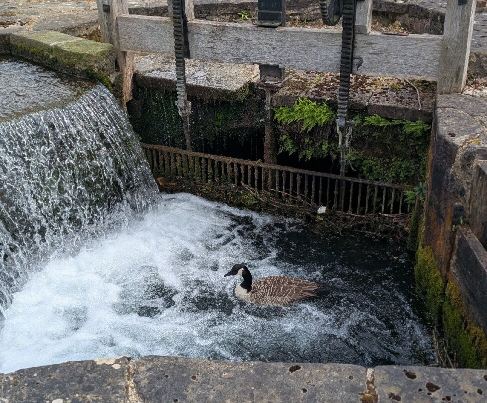 Cromford Mills-Cromford必去景点