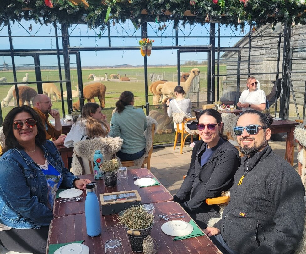 Alpaca Eco Farm-Egmond aan den Hoef必去景点