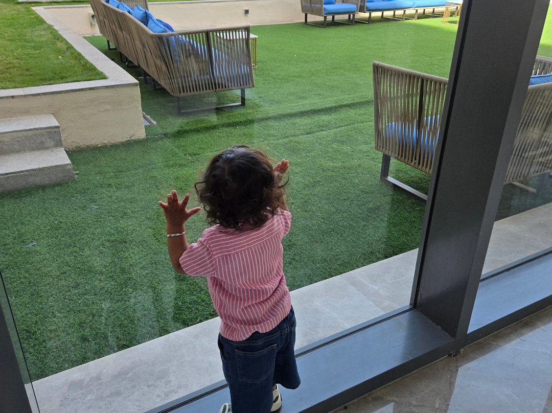 贾浦尔的泰姬阿默主图