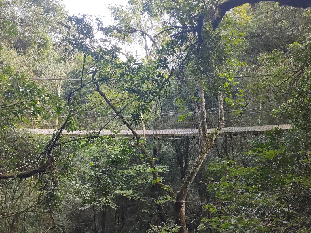 Parque Municipal Teixeira Soares-Marcelino Ramos必去景点