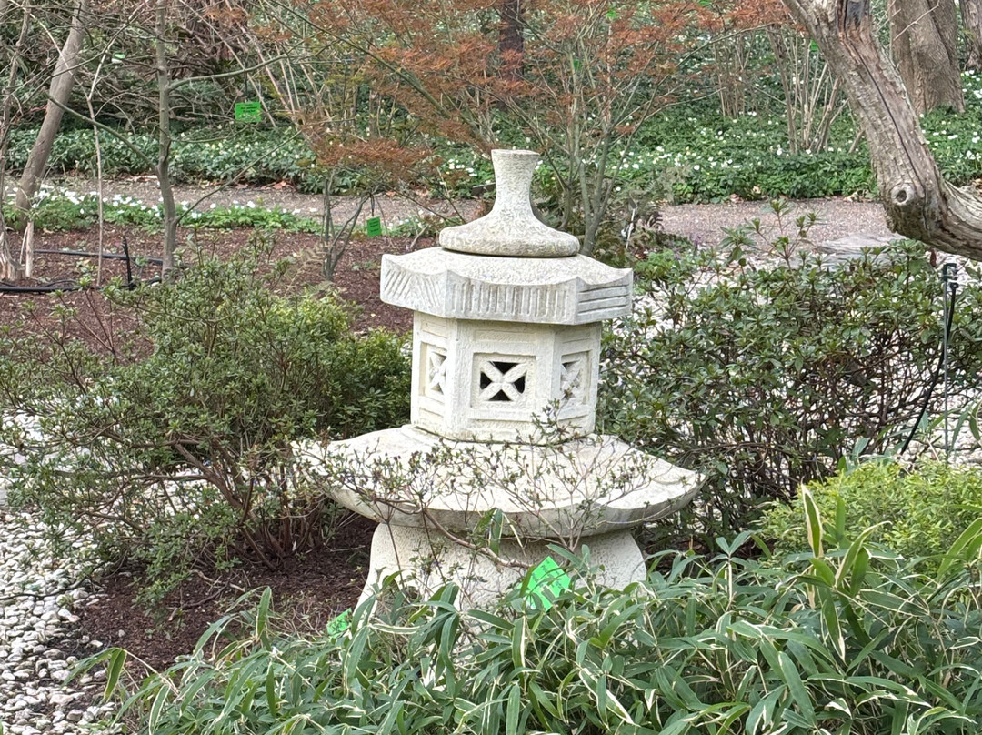 Botanical Garden of the University of Wrocław-弗罗茨瓦夫必去景点