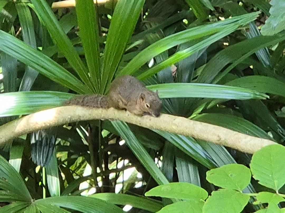 真巴湾阿迪瓦纳度假村主图