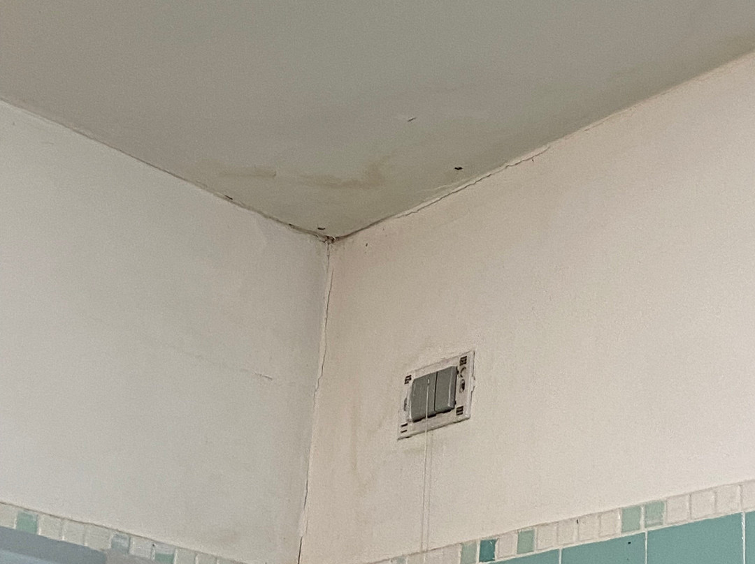 乌迪内标准酒店主图