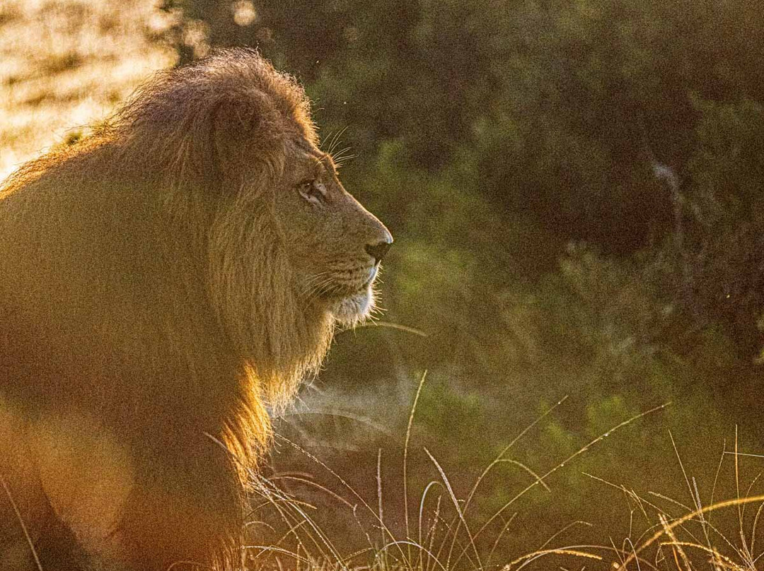 波特利斯科普私人猎区酒店主图