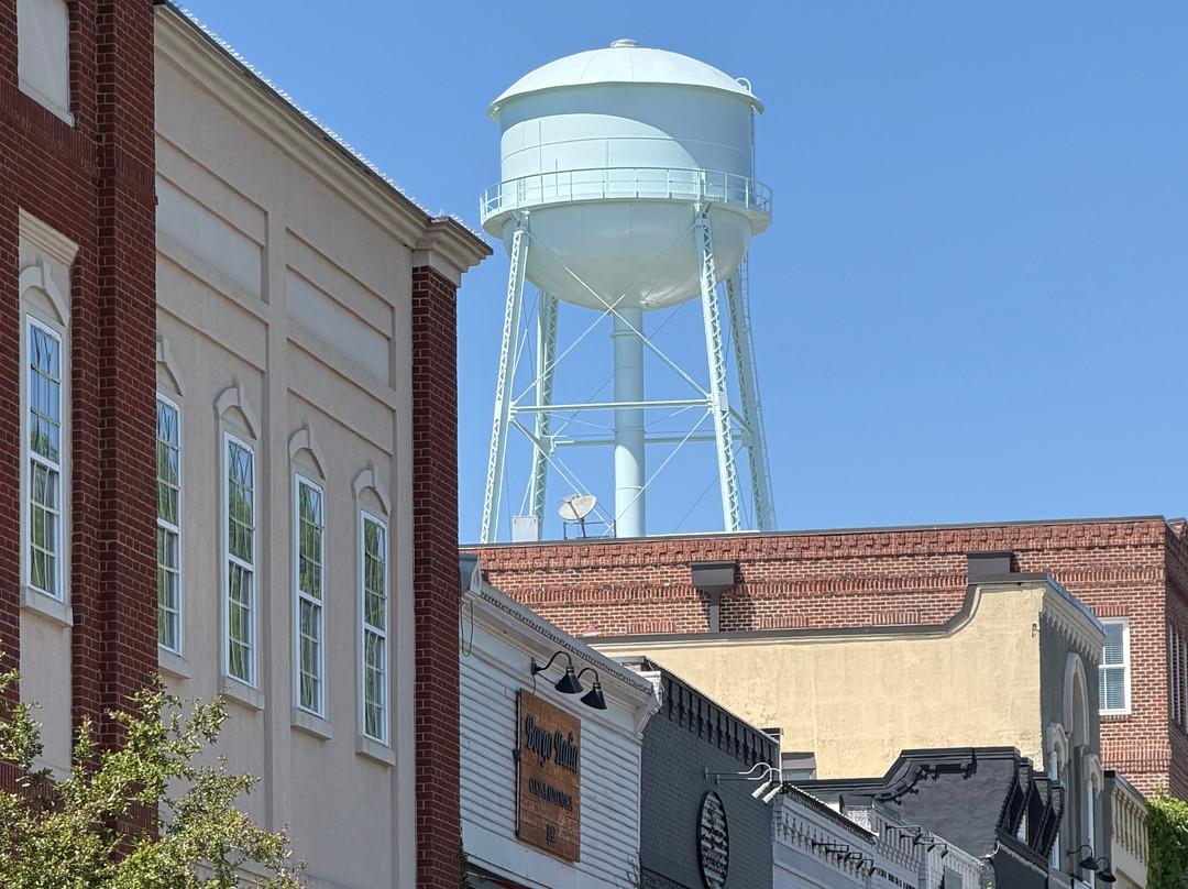 Water Tower Tours-Senoia必去景点