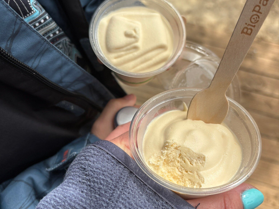 Clifford's Honey Farm-金斯科特必去景点
