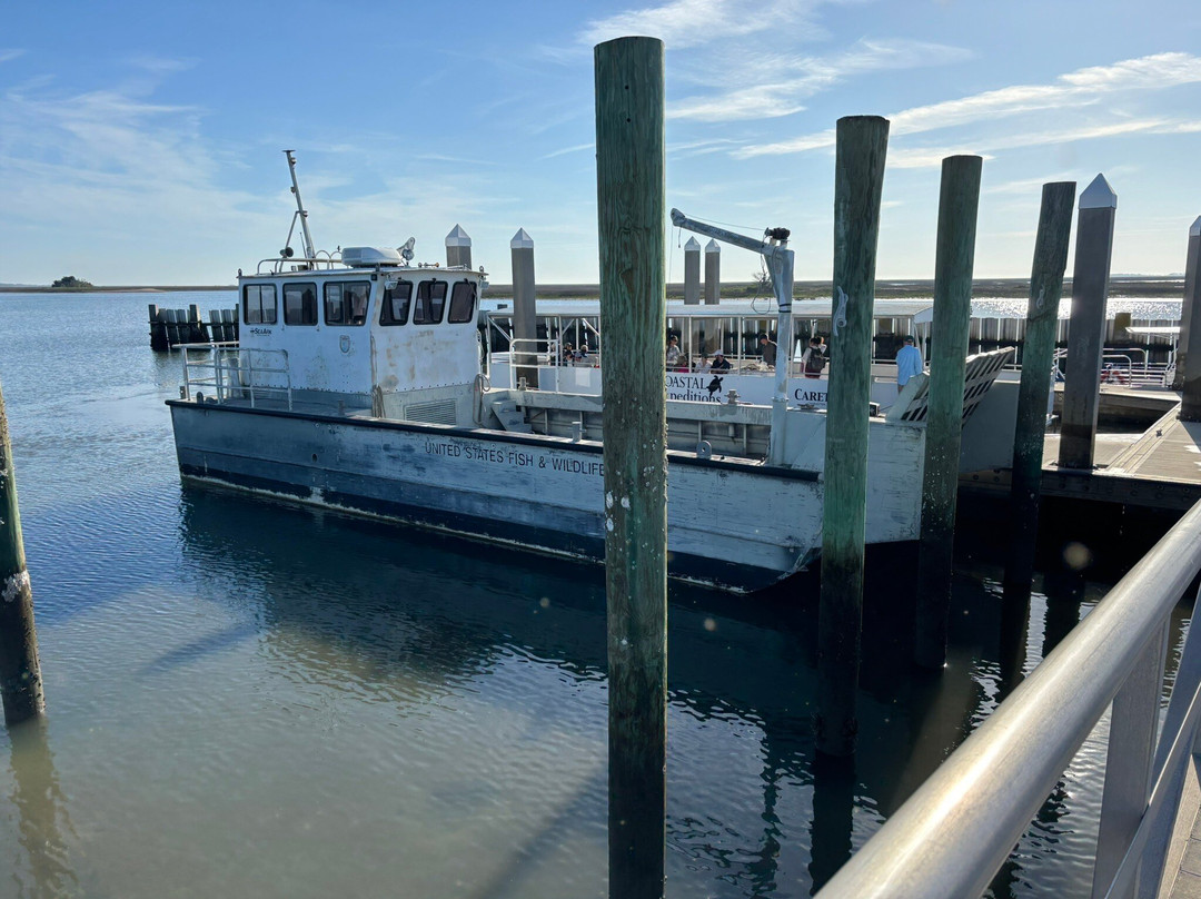 Bulls Island Ferry-Awendaw必去景点