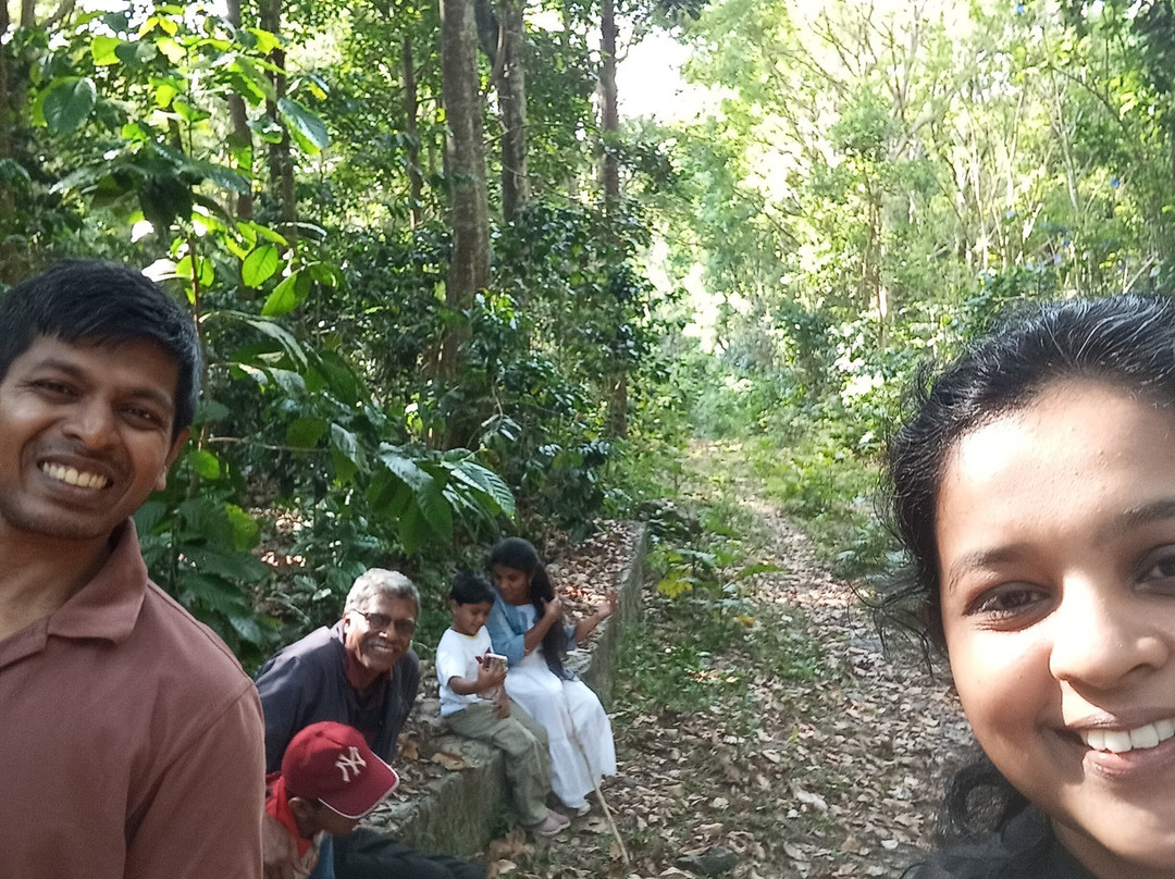 雅靠WOW比松林度假村主图