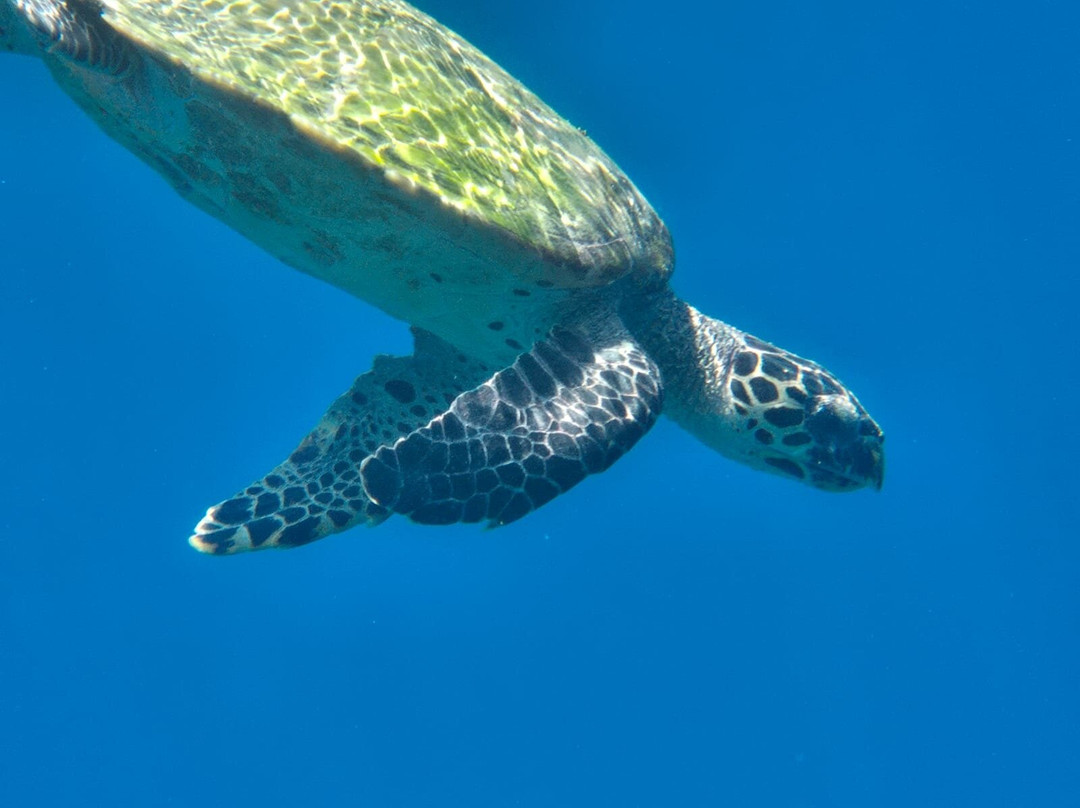 奥臻瑞泽铂丽富士全包式度假村主图