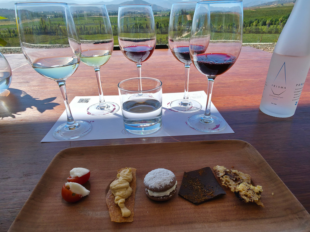 Kingston Family Vineyards-卡萨布兰卡必去景点