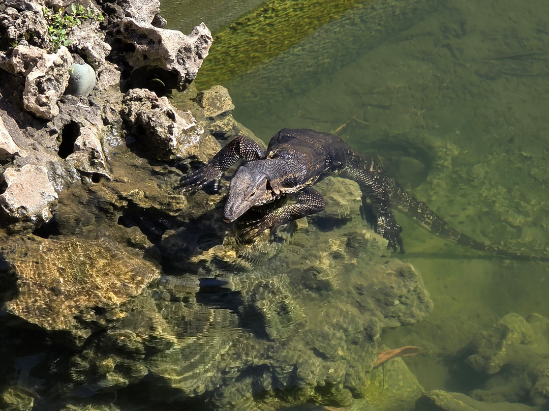 Club Med巴厘岛度假村（一价全包式含儿童俱乐部）主图