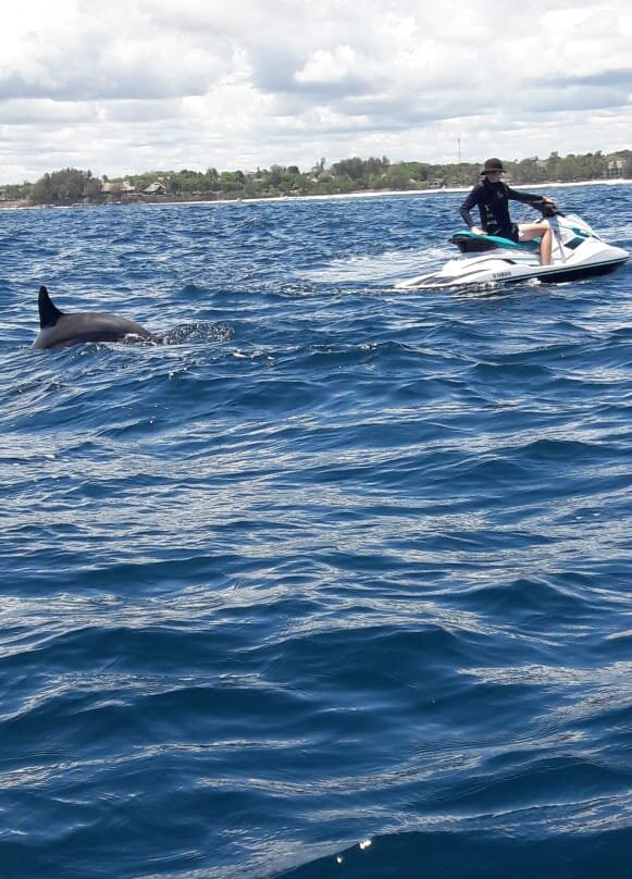 Freetyme Fishing Safaris & Water Sports-迪亚尼必去景点
