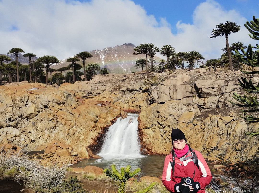 Cascadas del Agrio-Caviahue必去景点