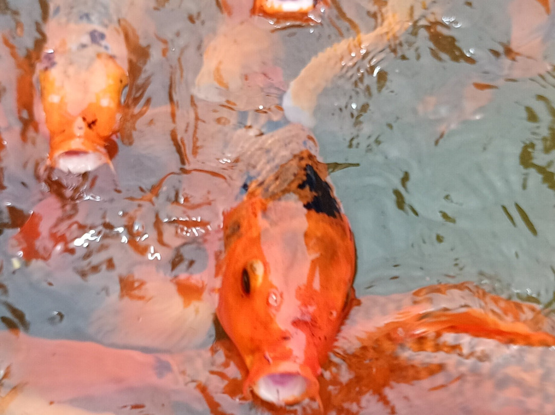 Jardin Botanique de Valombreuse-Petit-Bourg必去景点