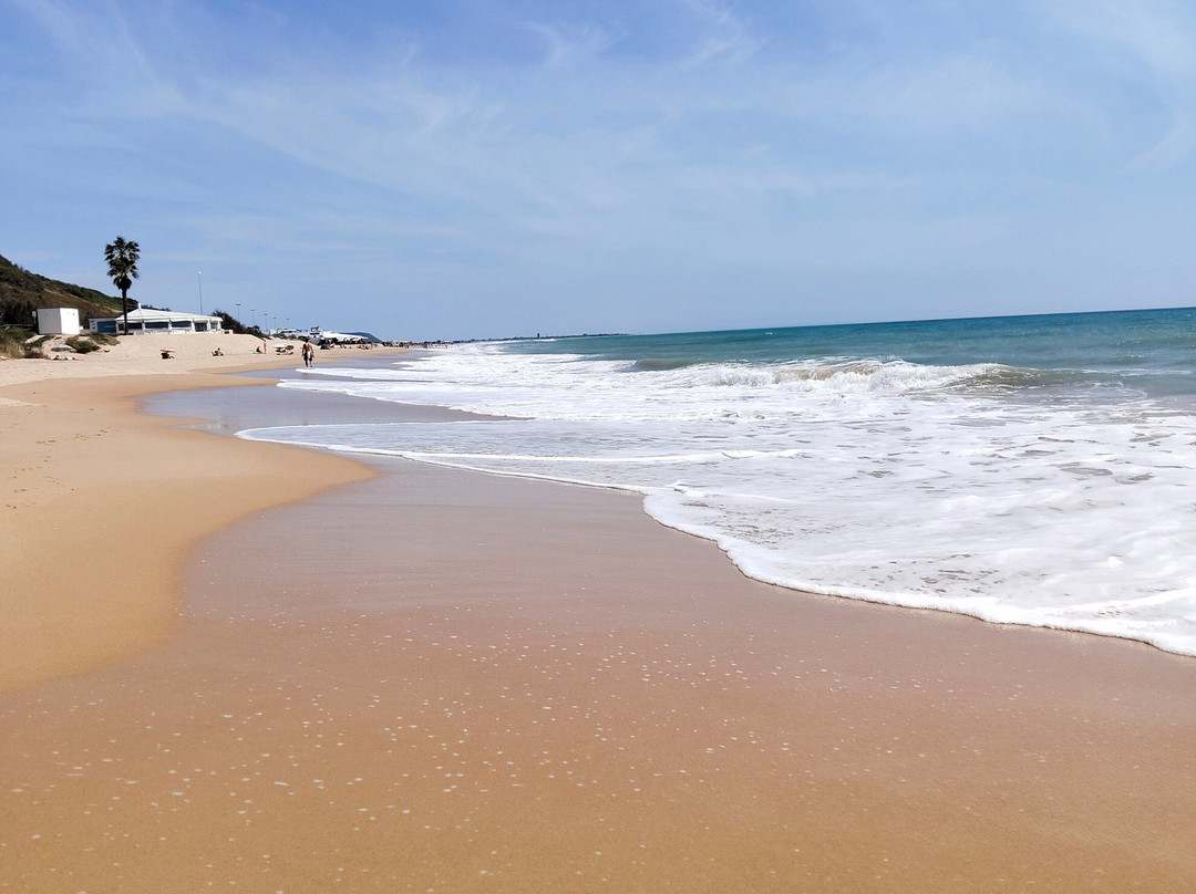 Playa de La Fontanilla-Conil de la Frontera必去景点