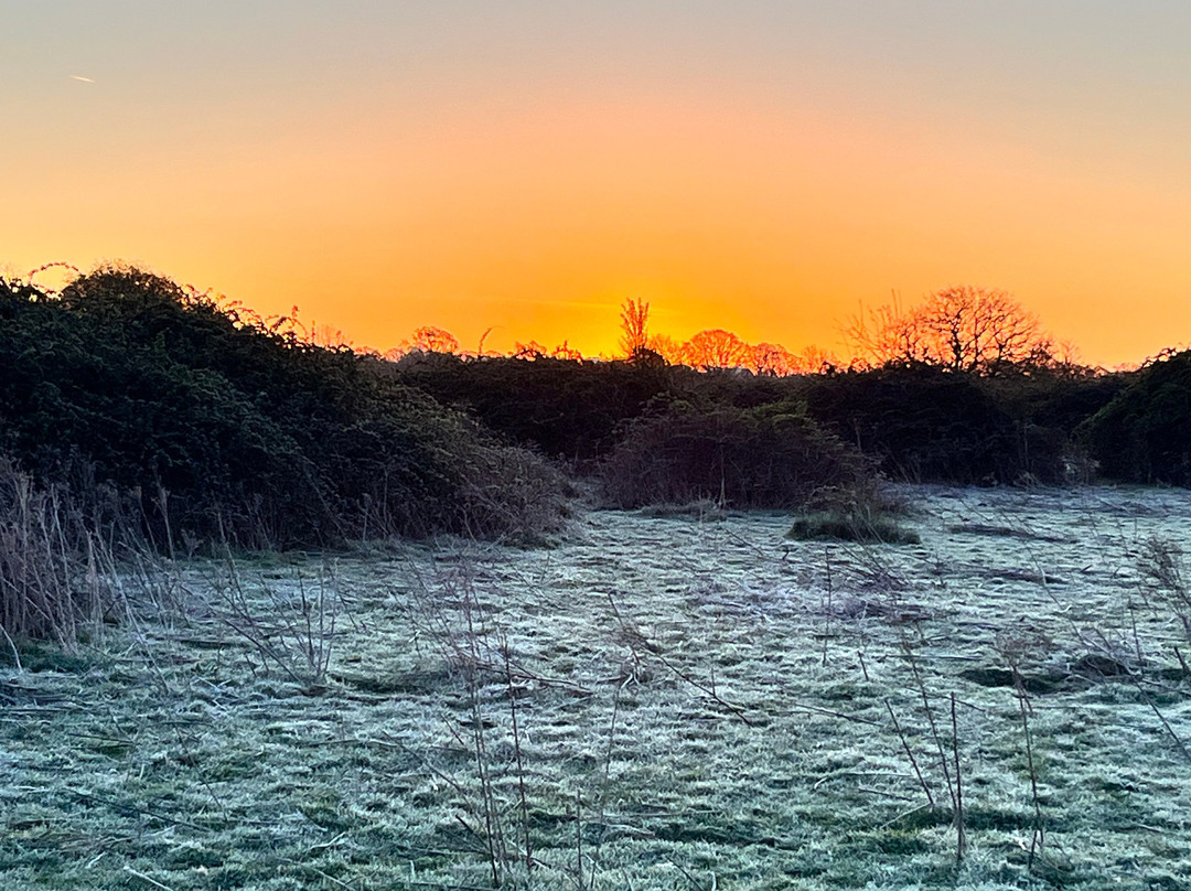 Knepp Wildland Safaris-霍舍姆必去景点