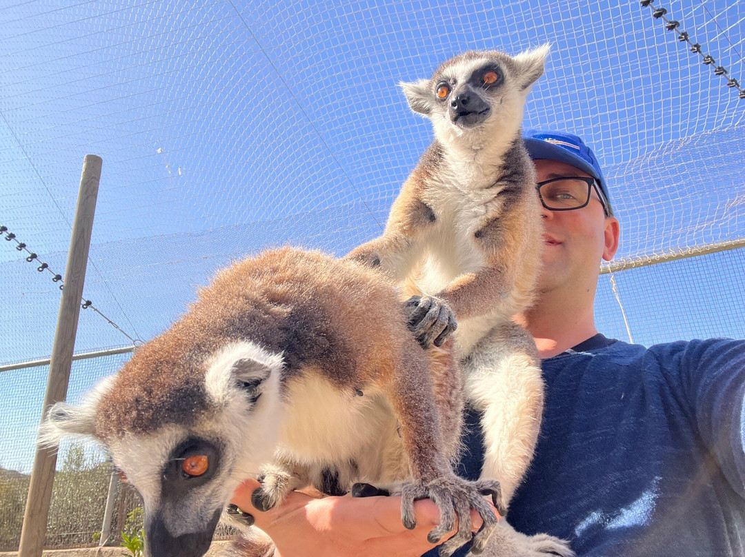 Farma of Rhodes Petting Zoo-罗德斯必去景点