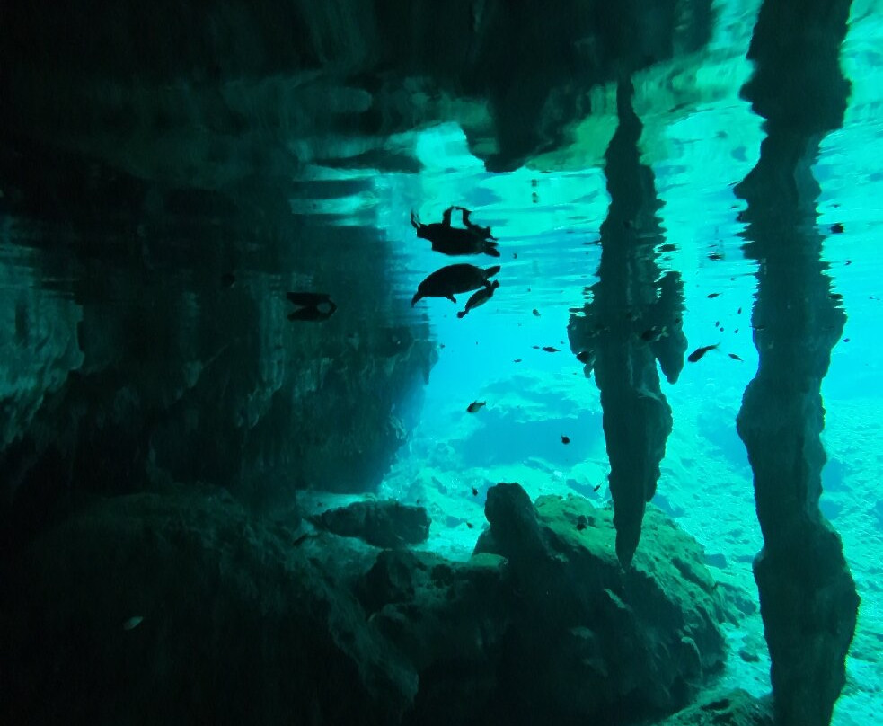 Gran Cenote-图伦必去景点