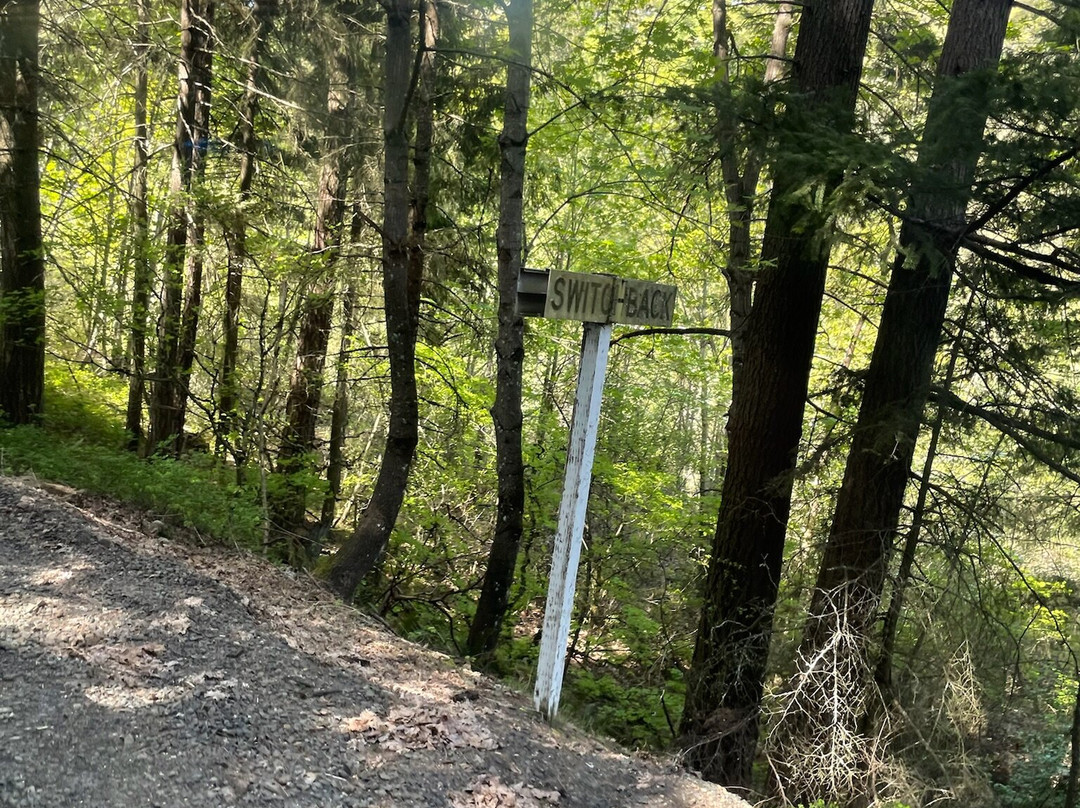 Mount Hood Railroad-胡德里弗必去景点