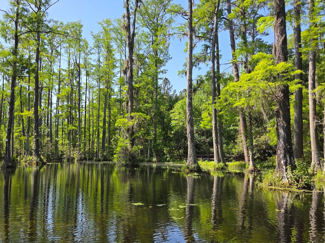 Cypress Gardens-蒙克斯科纳必去景点