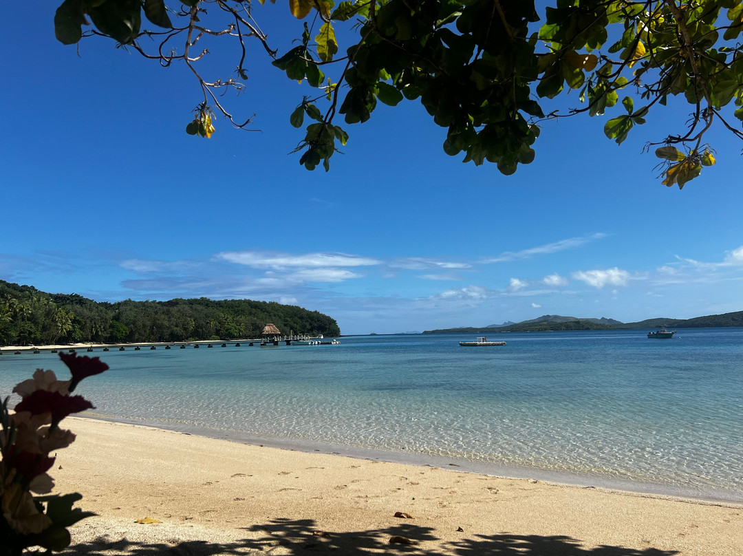 Turtle Island Fiji主图