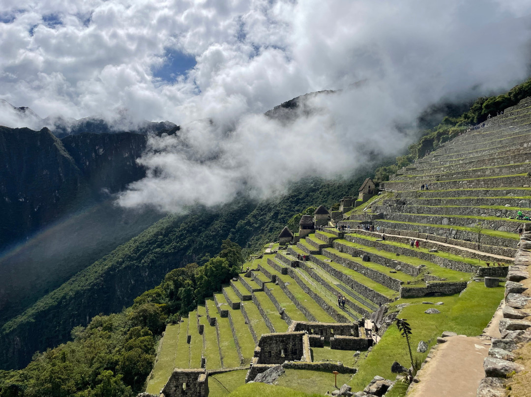 Alpaca Expeditions-库斯科必去景点