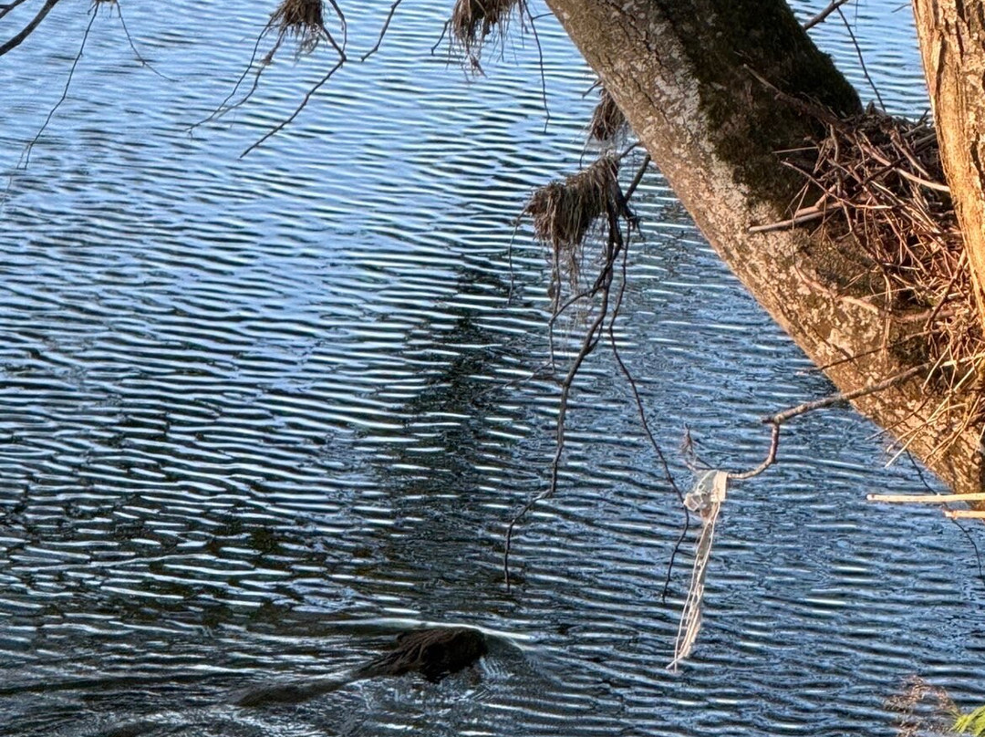Perthshire Wildlife-Blairgowrie必去景点