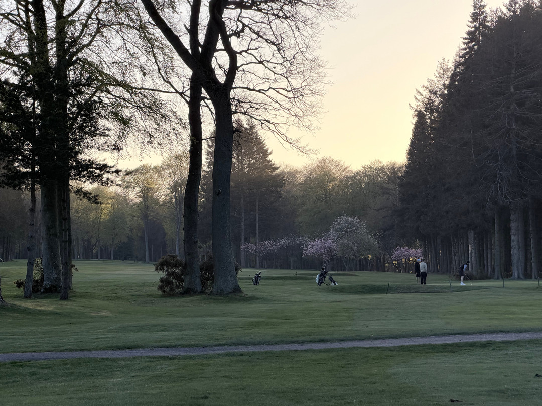 Downfield Golf Club-敦提必去景点