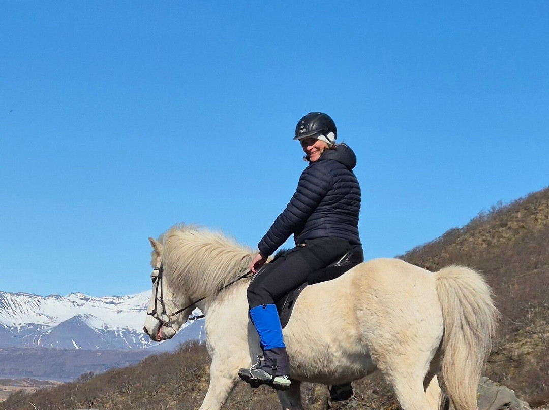 Glacier Horses-Svinafell必去景点