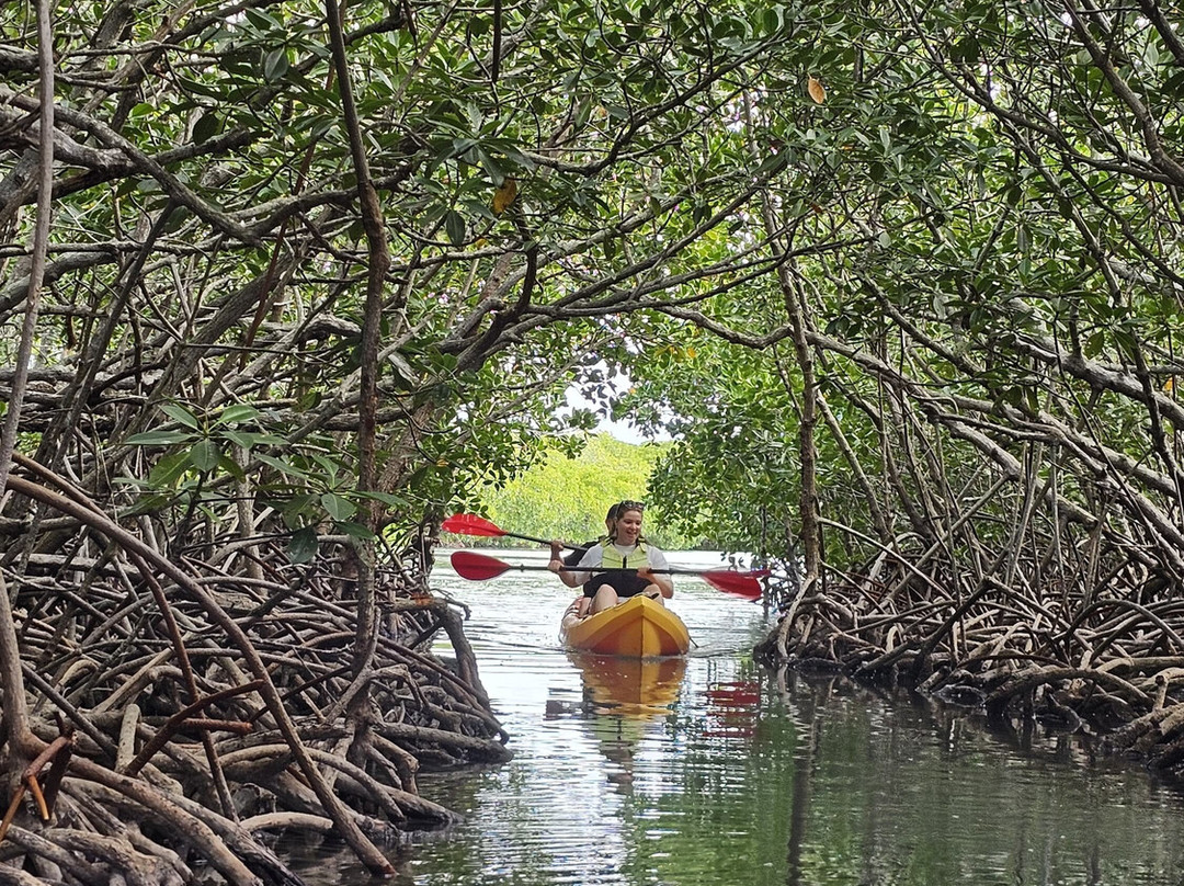 Sea Kayak Adventures-毛里求斯必去景点