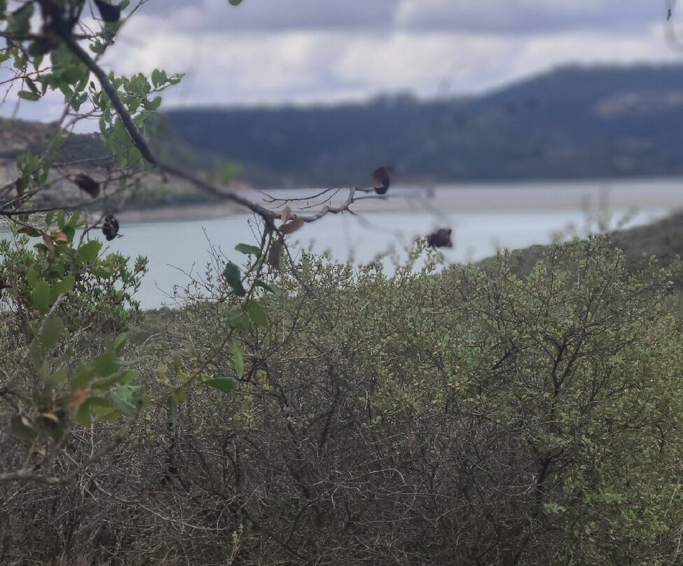 Elfin Forest Recreational Reserve-埃斯孔迪多必去景点
